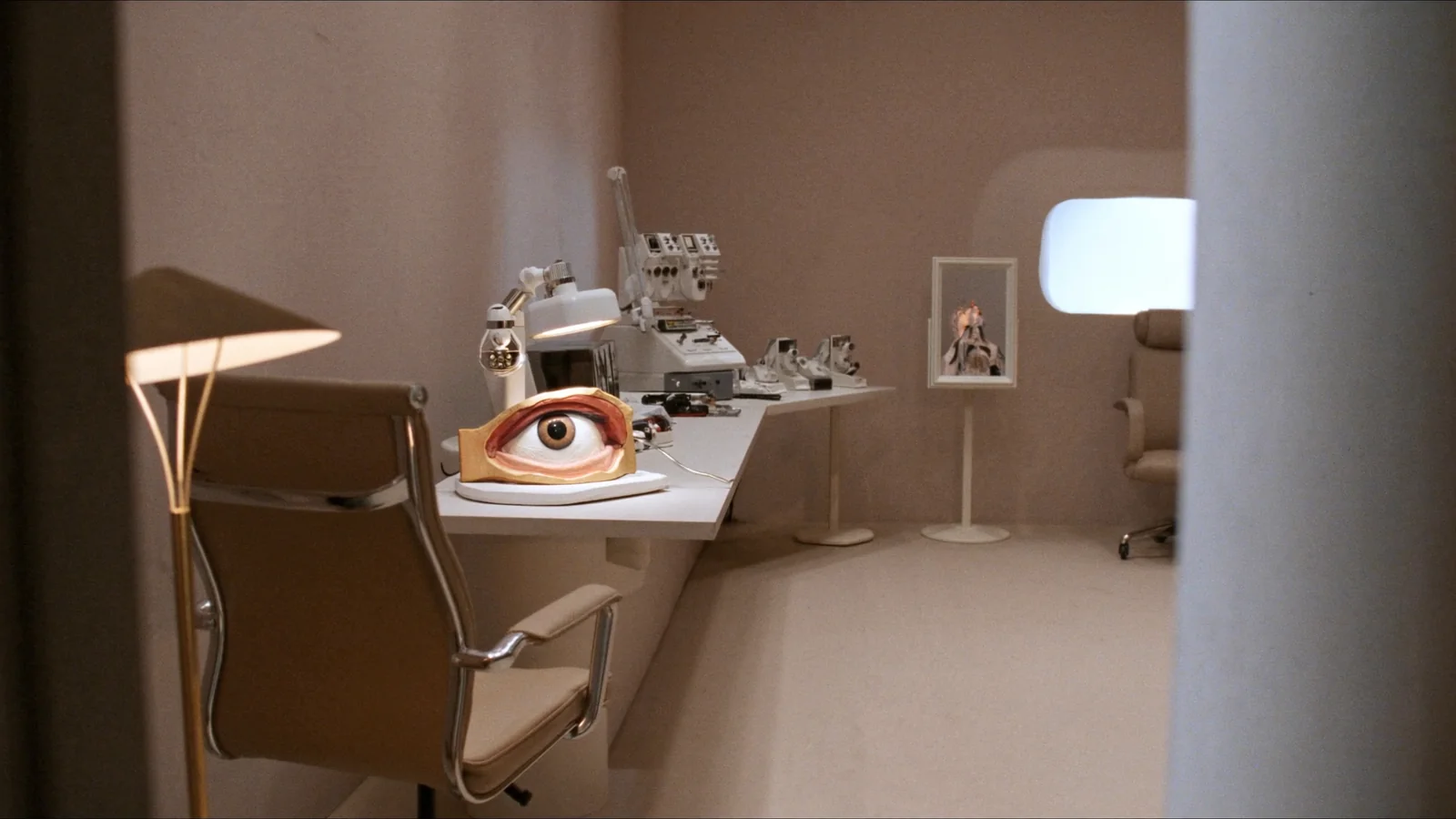 Eye anatomy model and diagnostic equipment in a calm eyelid consultation room.