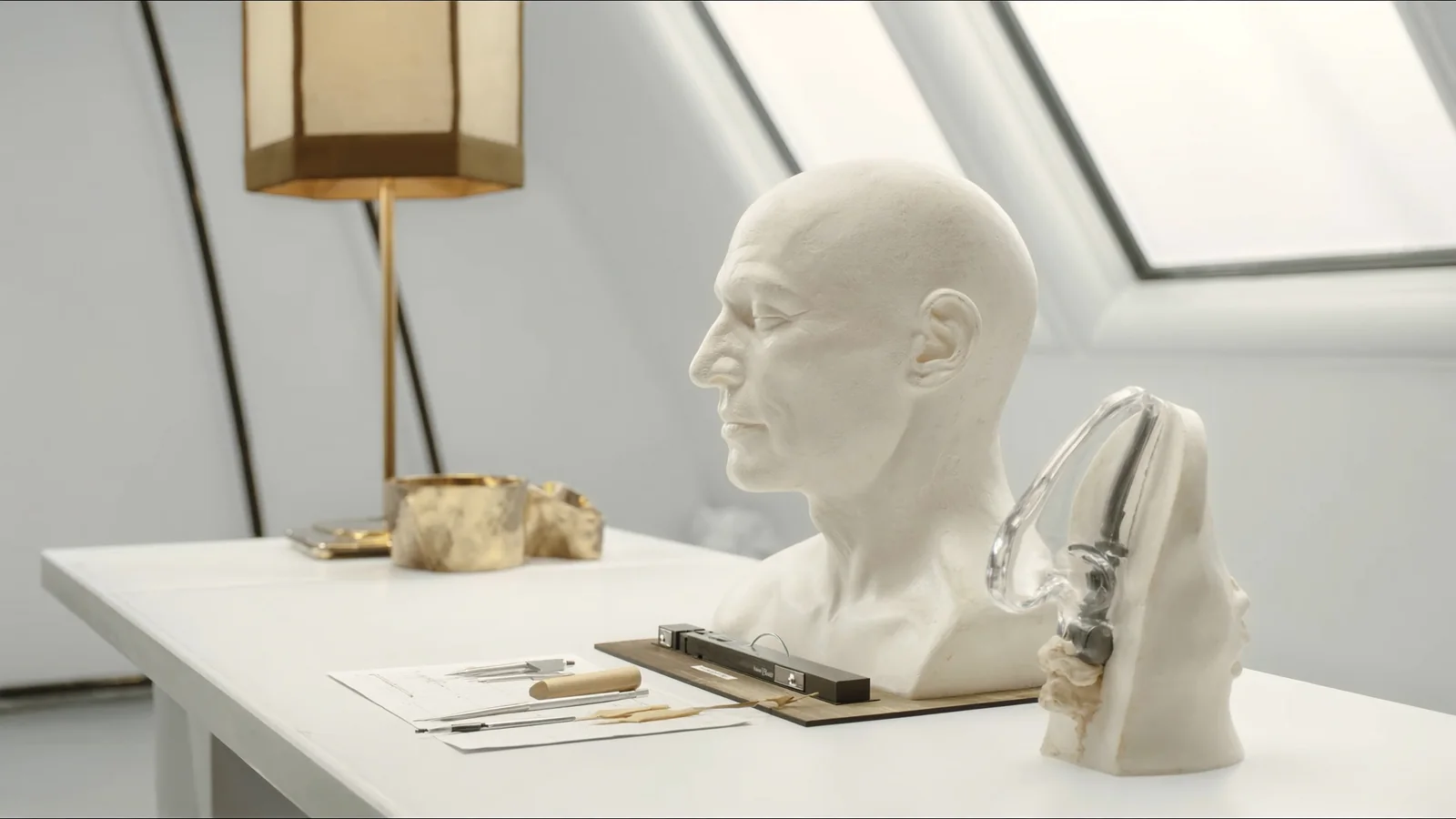 Anatomical profile sculpture and transparent nasal model in a bright rhinoplasty consultation setting.